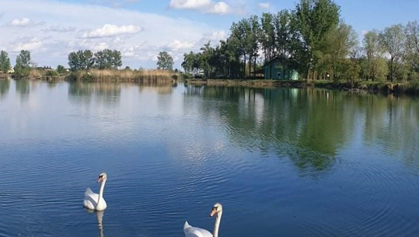 Voda na Bizovačkom bajeru ponovno izvrsne kakvoće